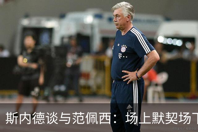 斯内德谈与范佩西：场上默契场下生疏的关系
